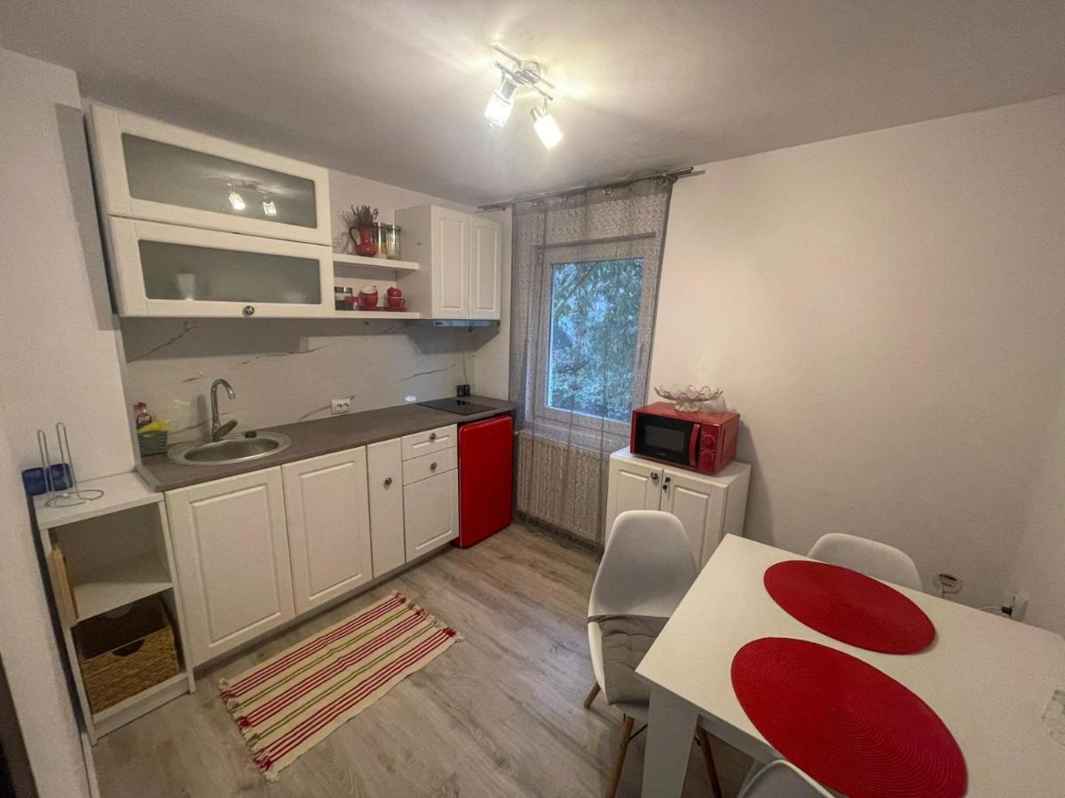 Buzz Apartment Cluj Napoca Bagian luar foto