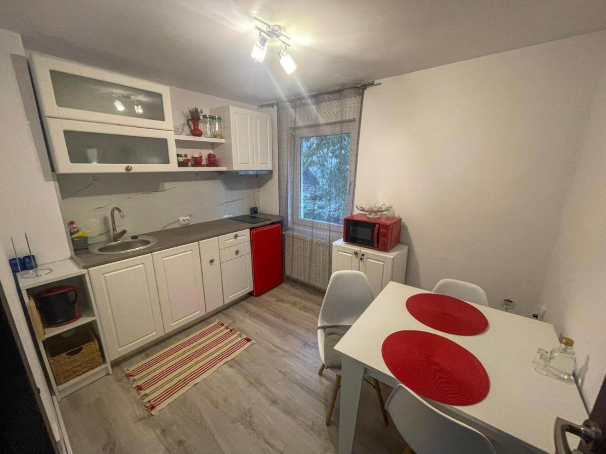 Buzz Apartment Cluj Napoca Bagian luar foto
