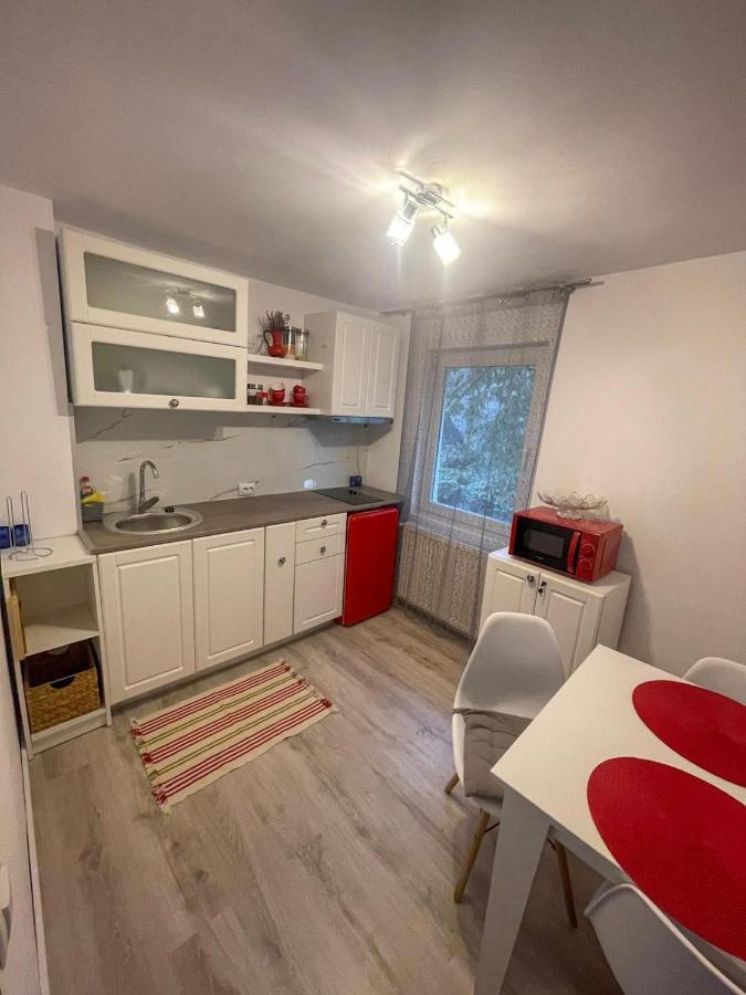 Buzz Apartment Cluj Napoca Bagian luar foto