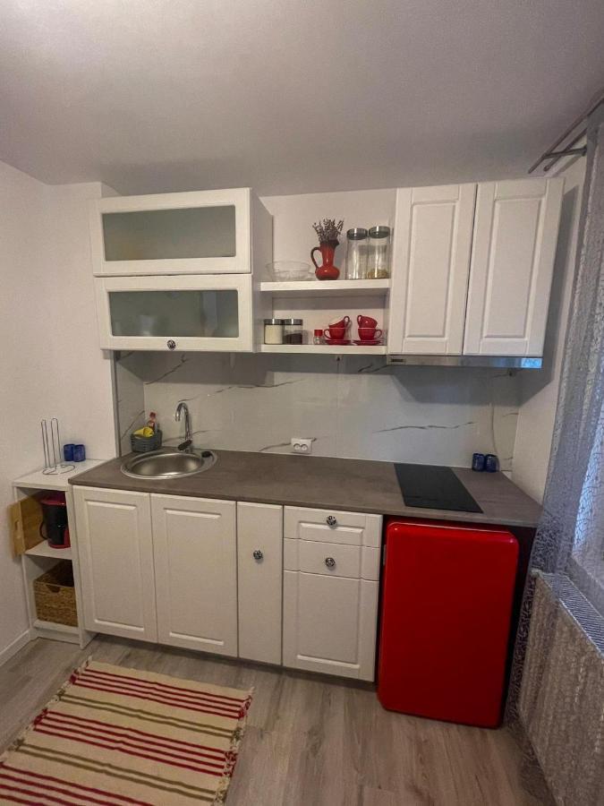 Buzz Apartment Cluj Napoca Bagian luar foto